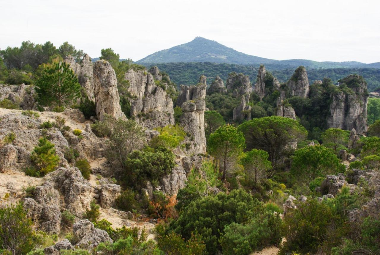 "Belle Etape"-Meuble De Tourisme 3 Etoiles -Residence "Les Logis De Beziers"-Garage Optionnel-Coeur De Ville-Plages A 16Km ! ภายนอก รูปภาพ